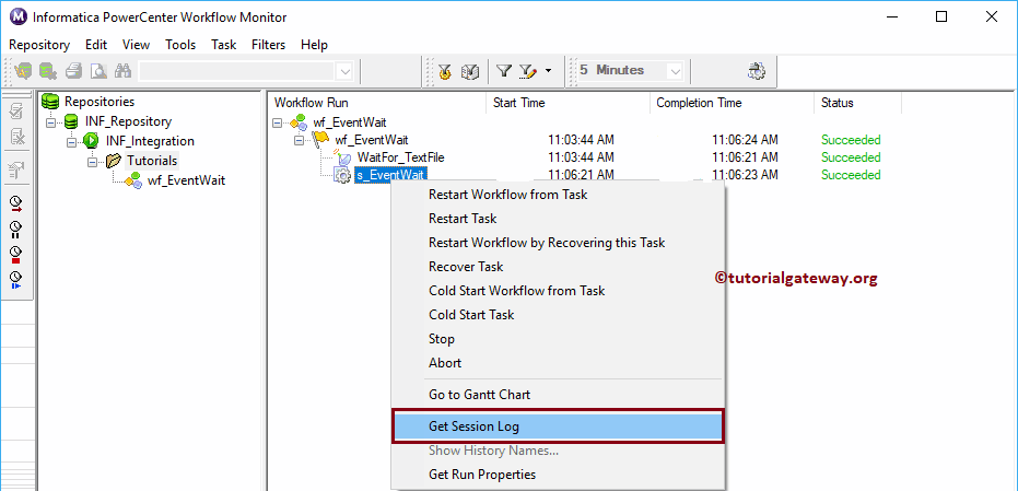 Informatica Workflow Monitor 13